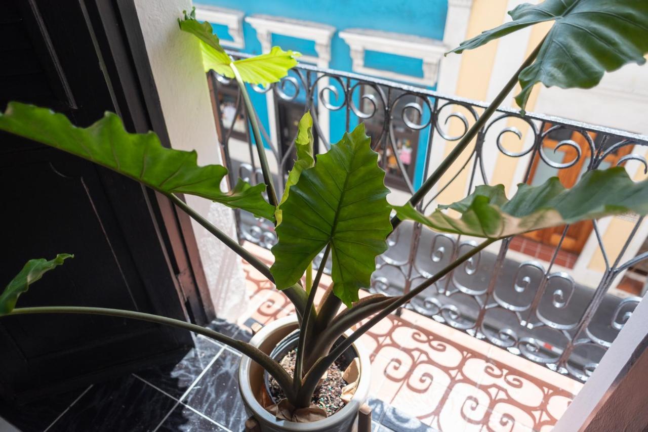 Fortel Hostel サンジョアン エクステリア 写真